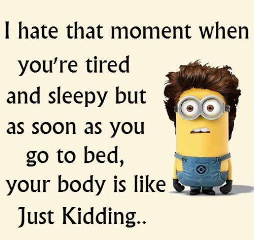 Funny Minion Quotes to Live By (15 Inspiring Quotes)