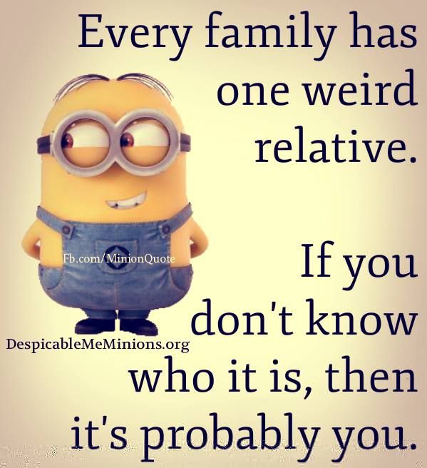 funny minion quotes to live by 15 inspiring quotes funny minion quotes to live by 15