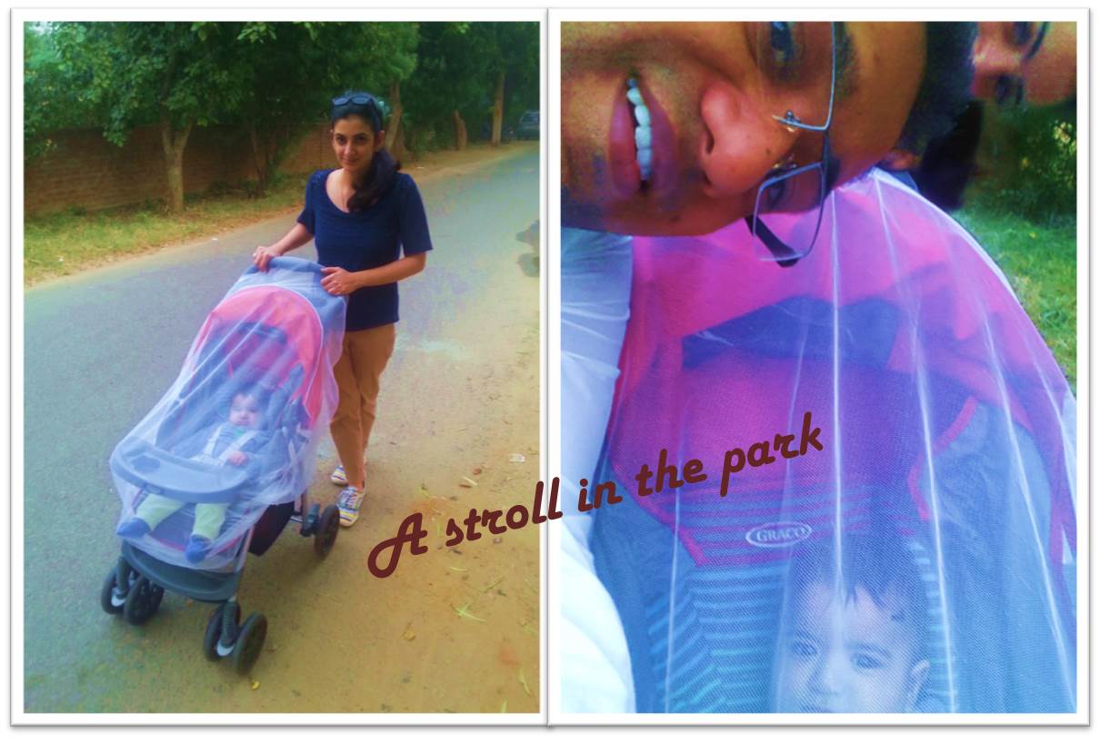 A stroll in the park