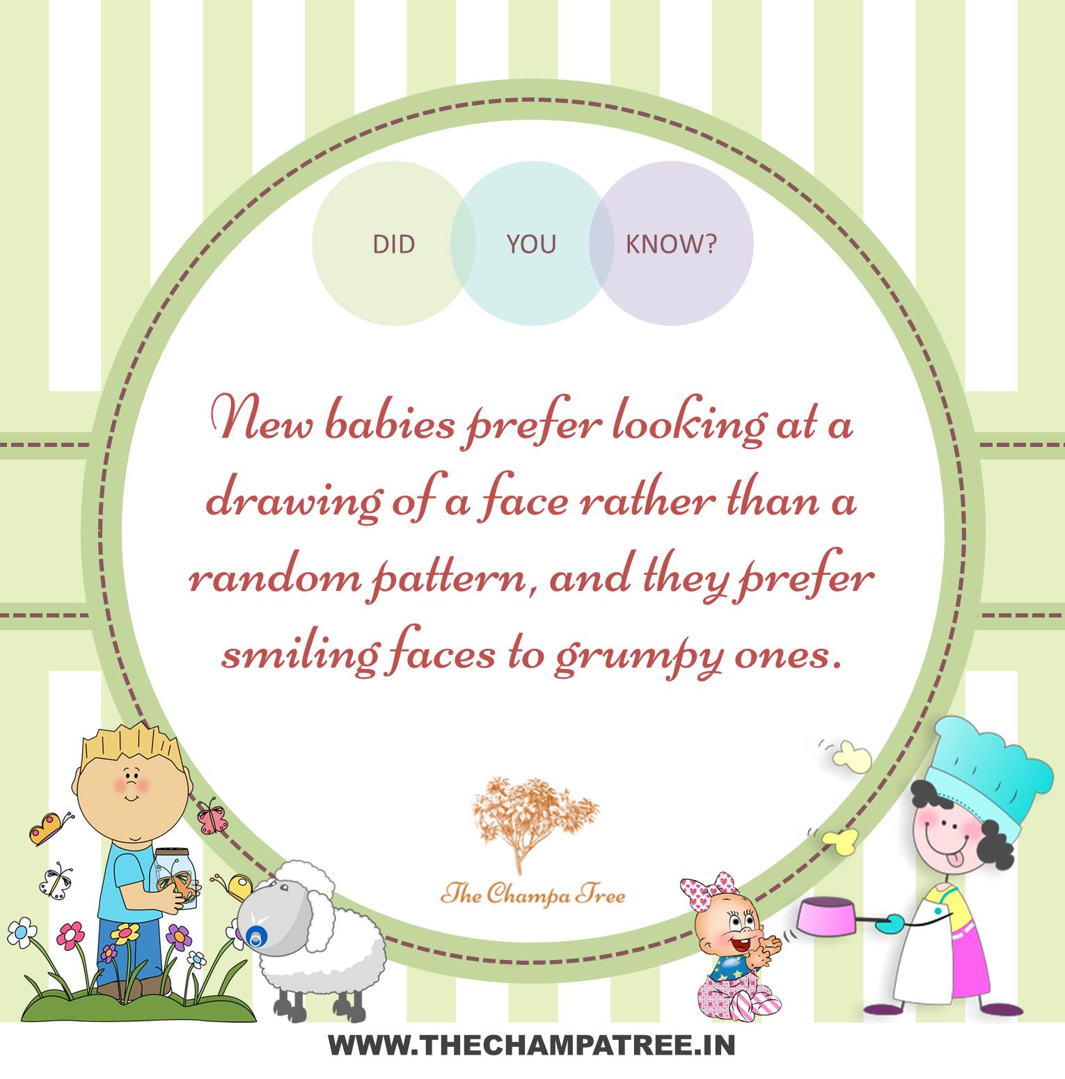Did You Know Facts - New Babies