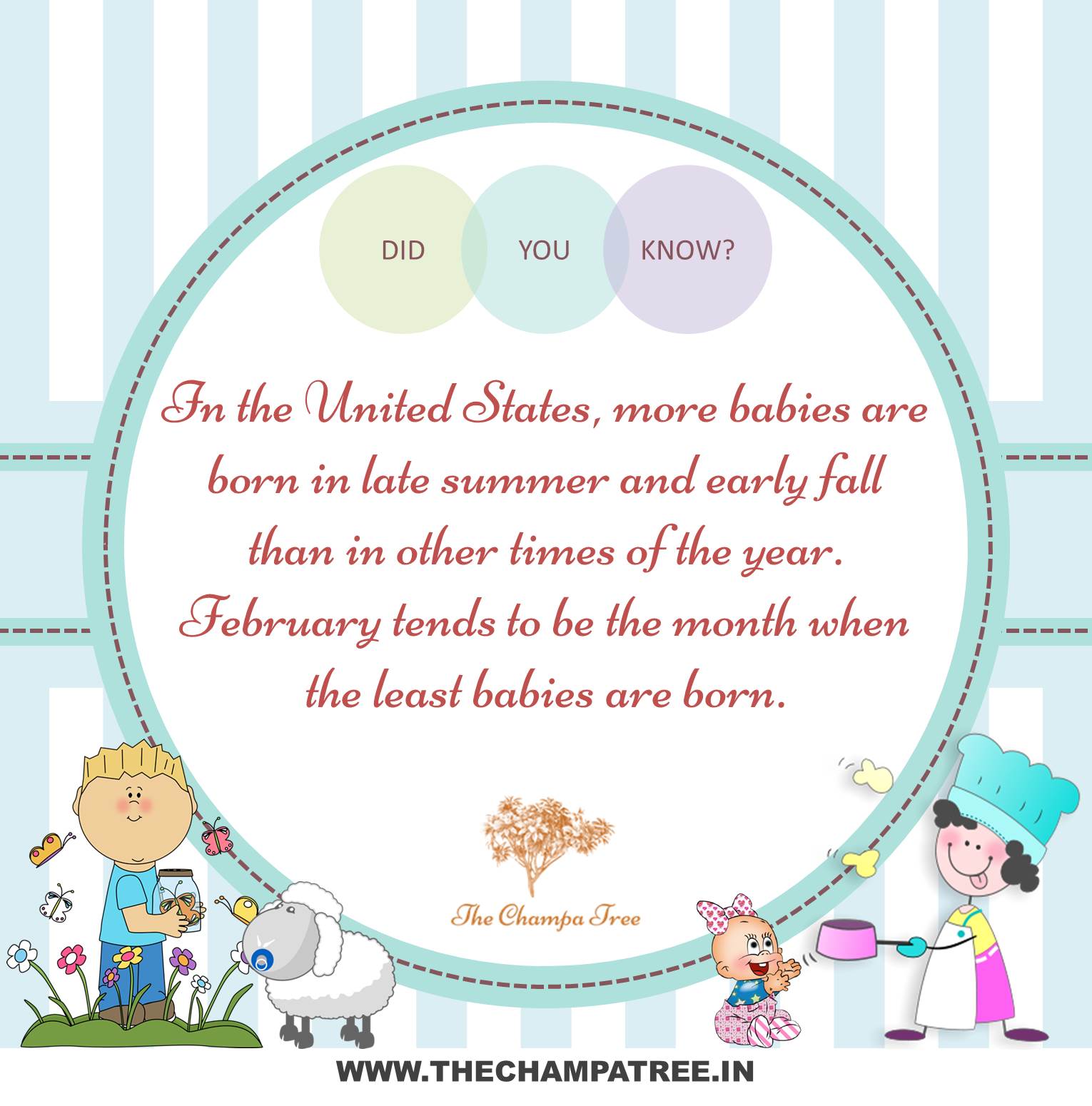Did You Know Facts - American newborn babies
