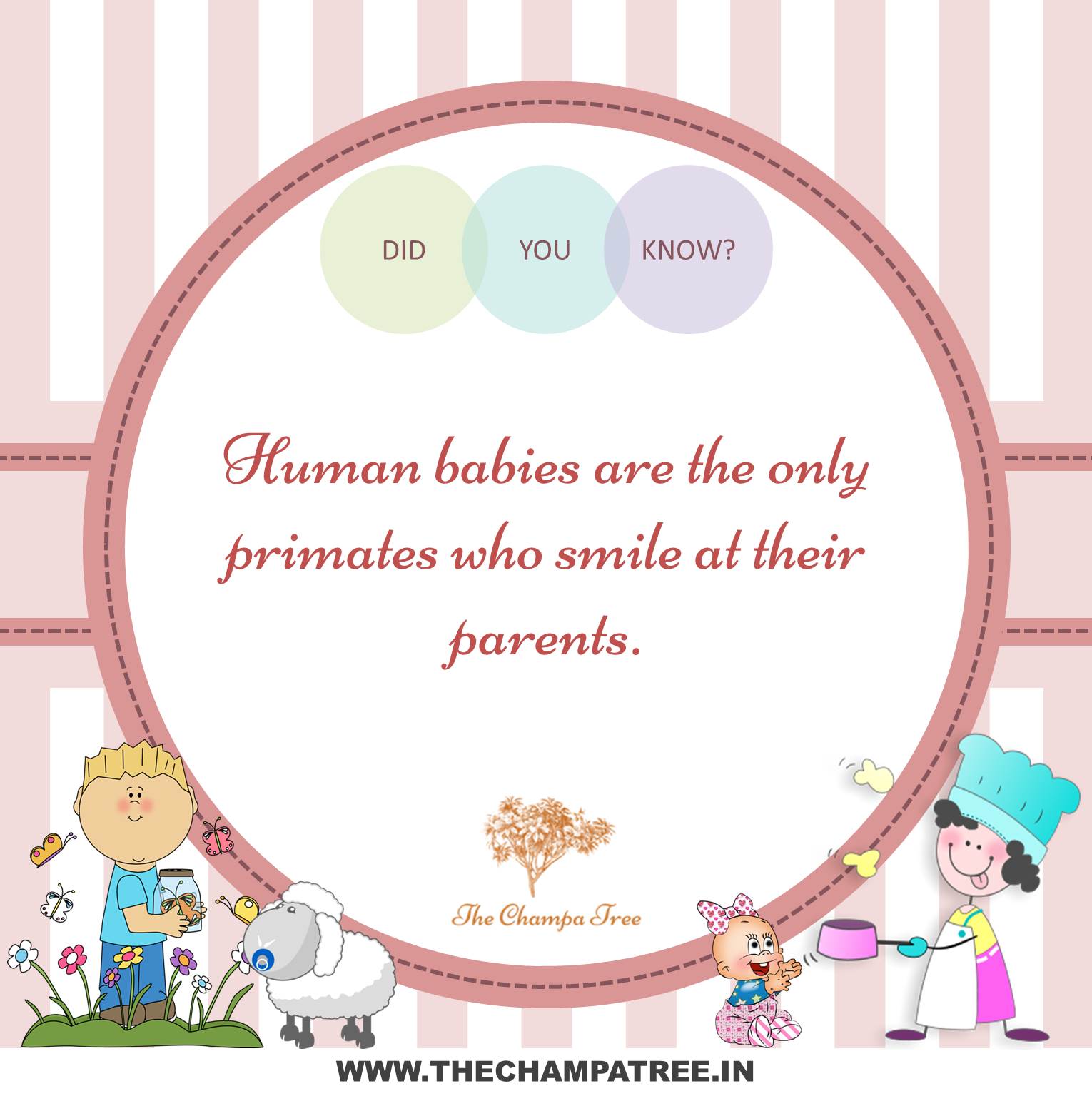 Did You Know Facts - Human babies