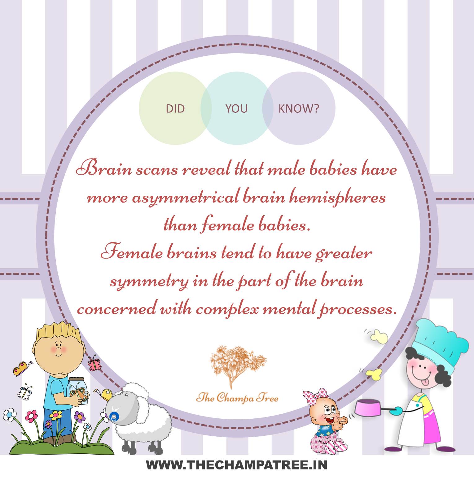 Did You Know Facts - Male female baby