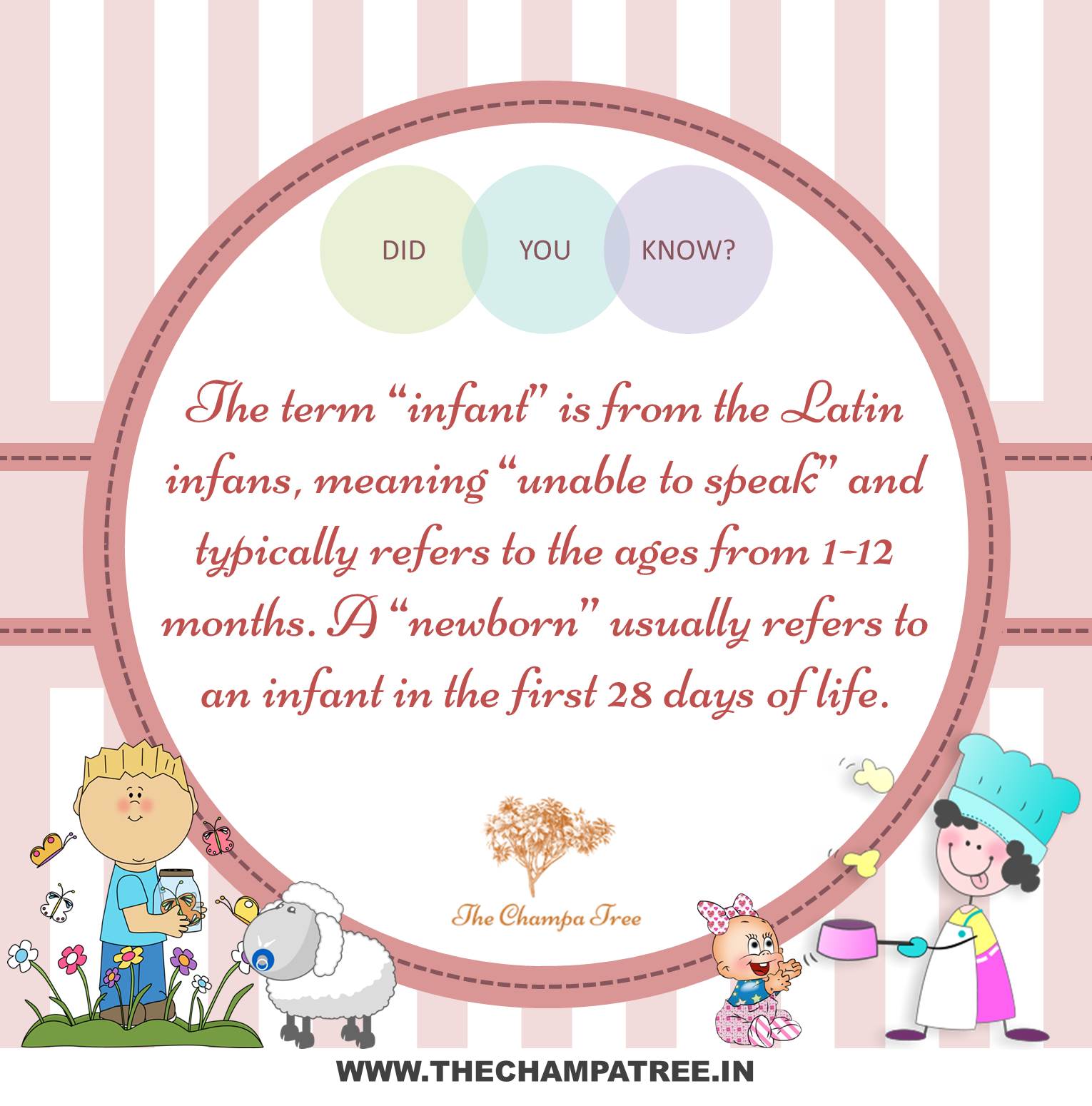 Did You Know Facts - Newborn and infant