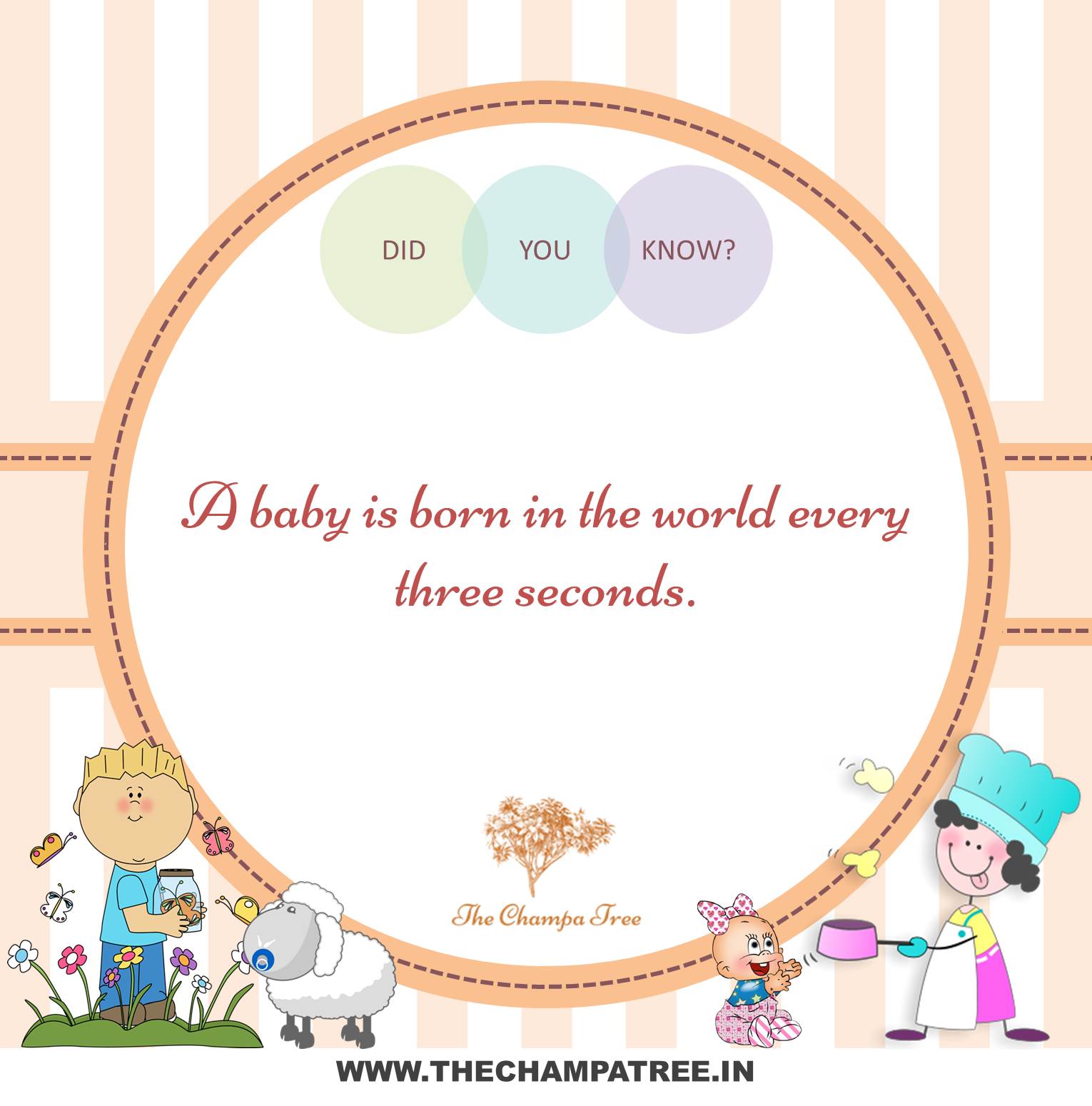 Amazing baby facts - Baby is born