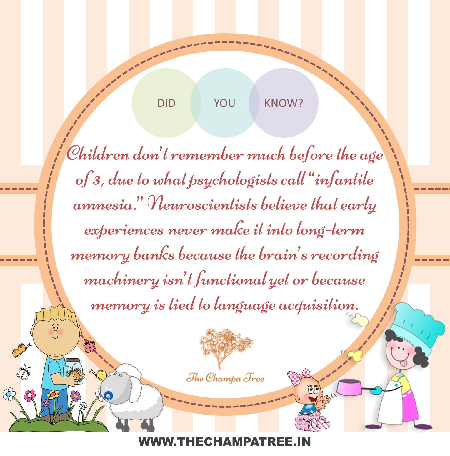 Did You Know Facts - Infantile Amnesia