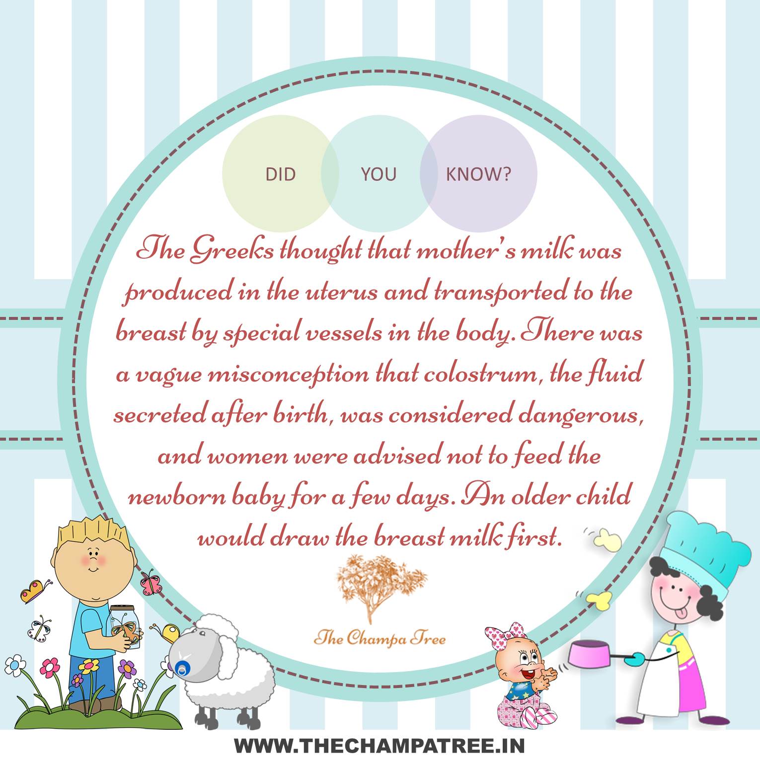 Did You Know Facts - Mother milk