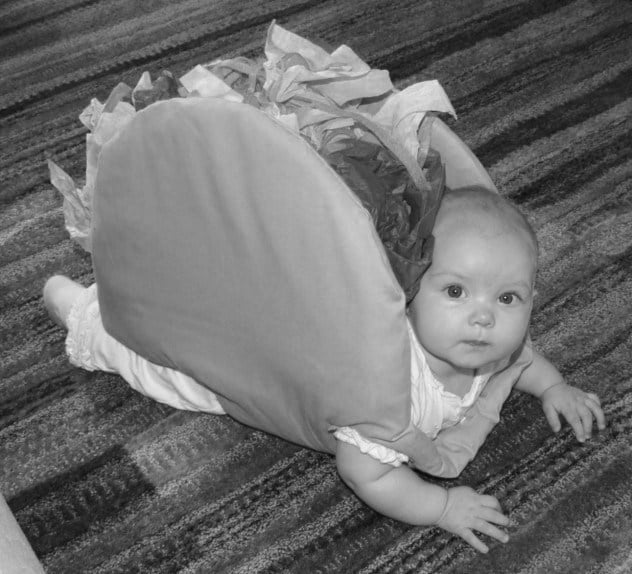 Funny pictures 08