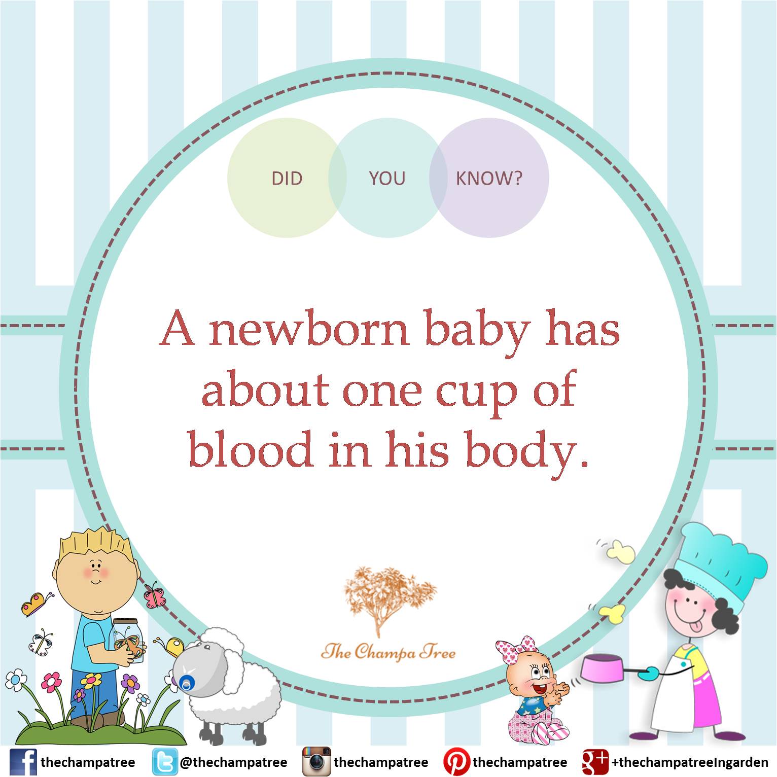 Did You Know Facts - Newborn baby