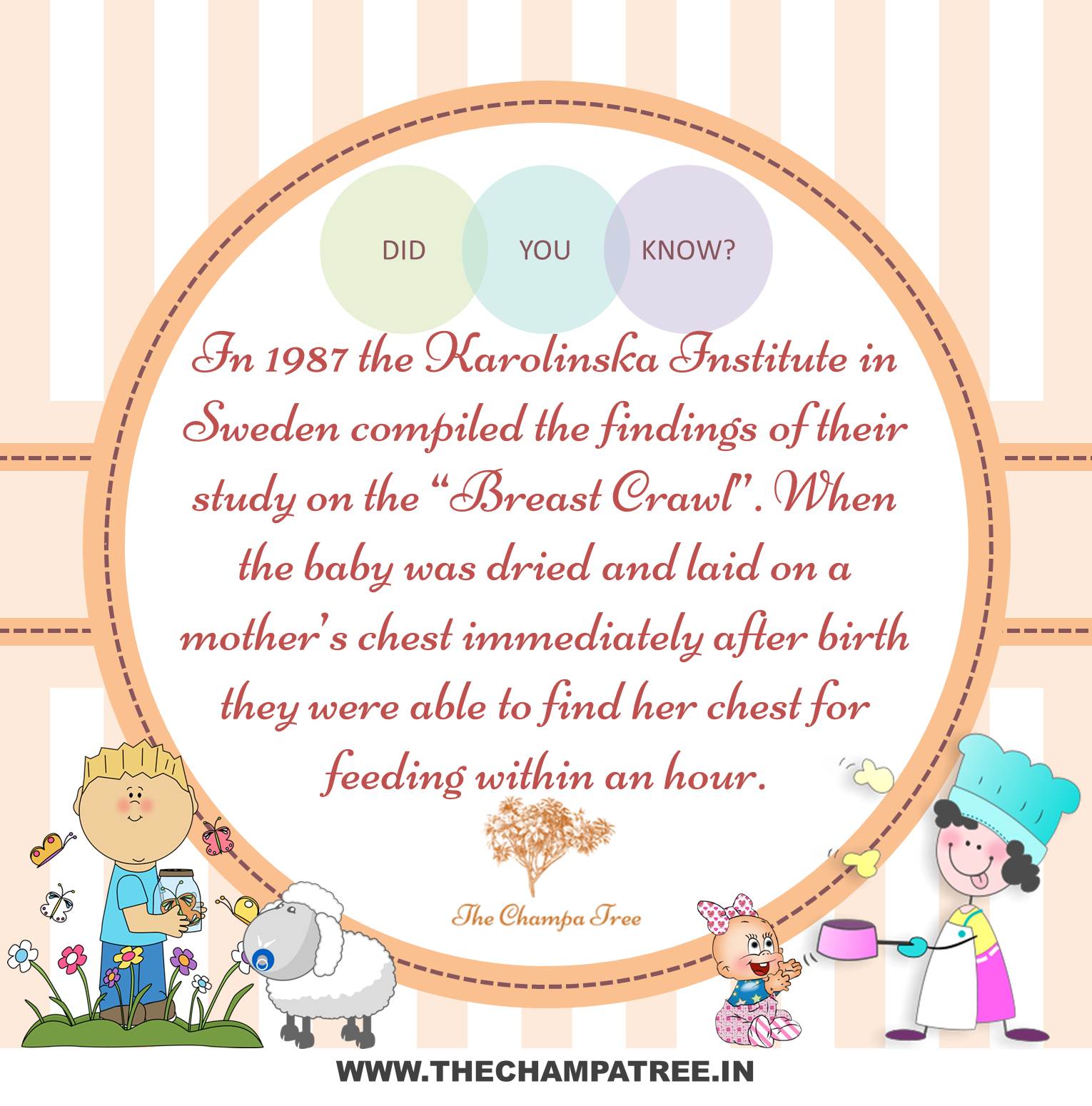 Did You Know Facts - Baby crawl