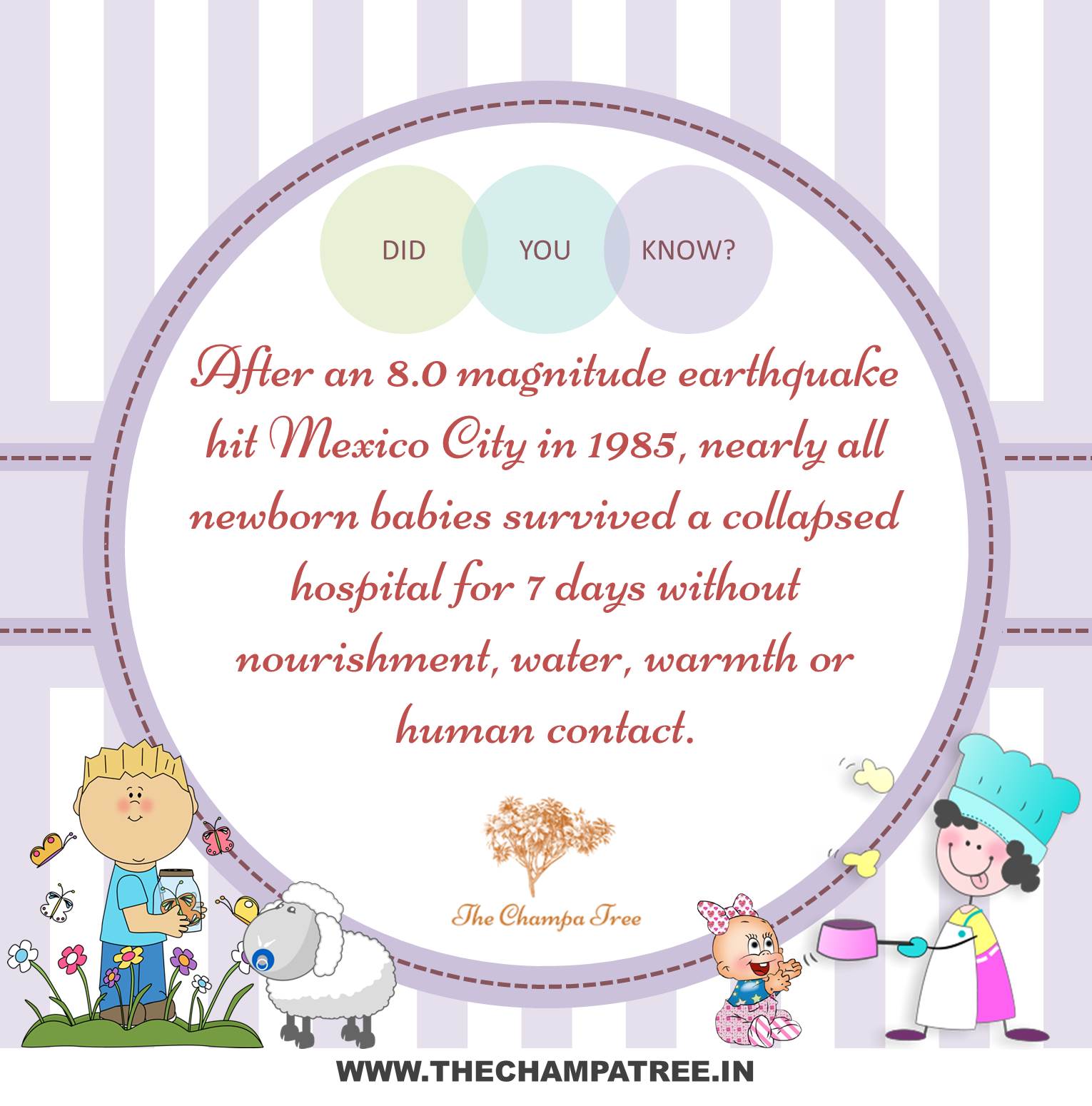Did You Know Facts - High magnitude earthquake