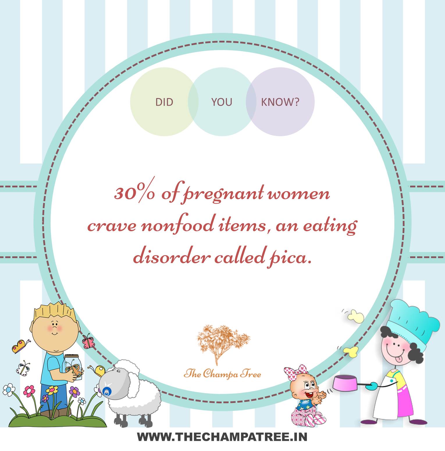Did You Know Facts - Pica