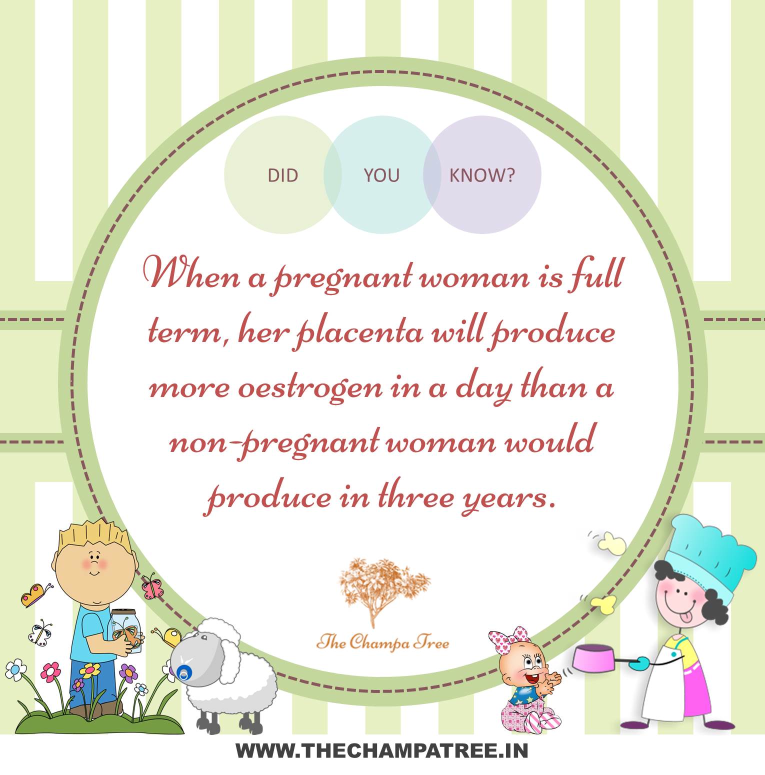 Did You Know Facts - Pregnant woman