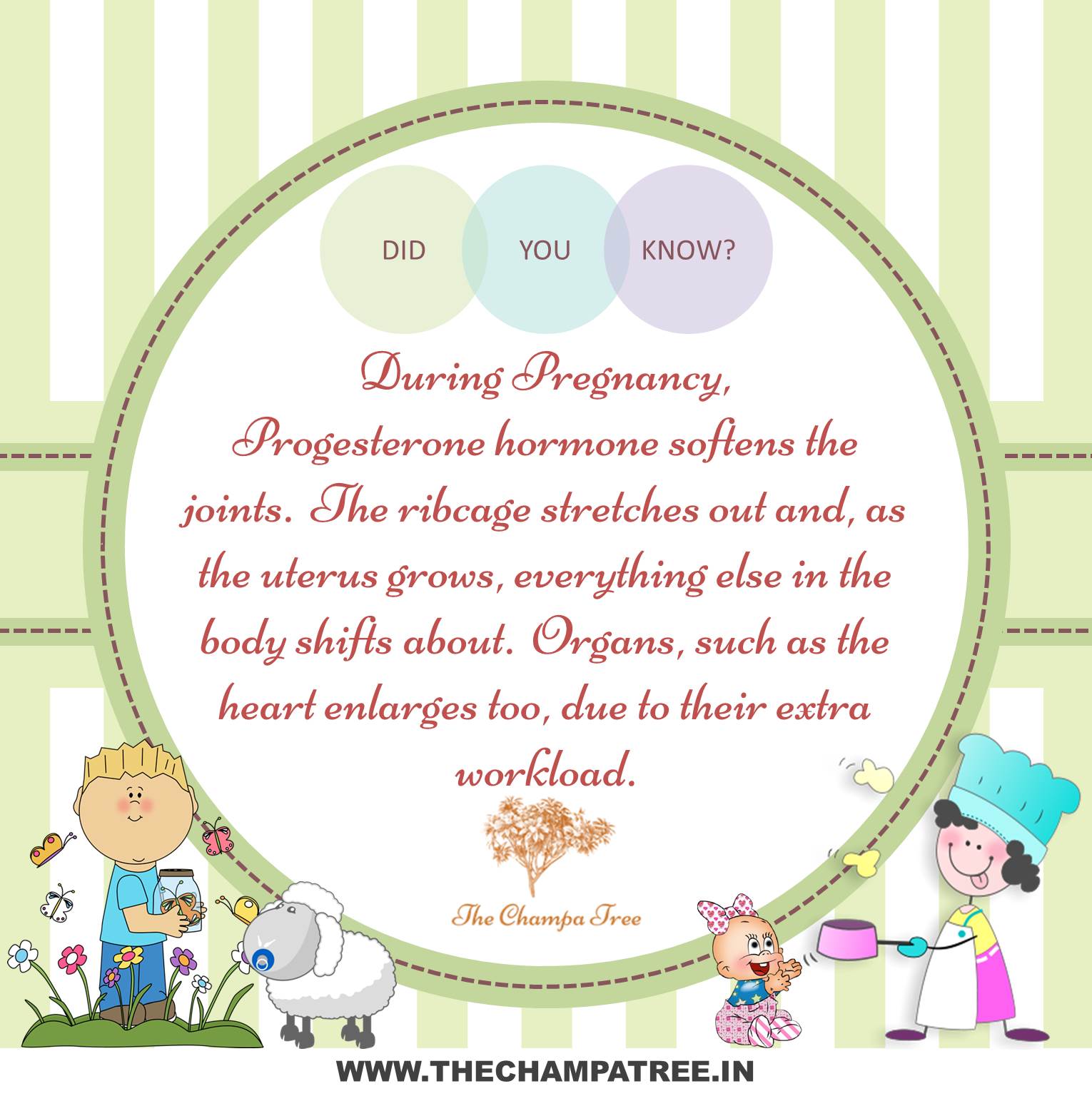 Did You Know Facts - Pregnancy 04