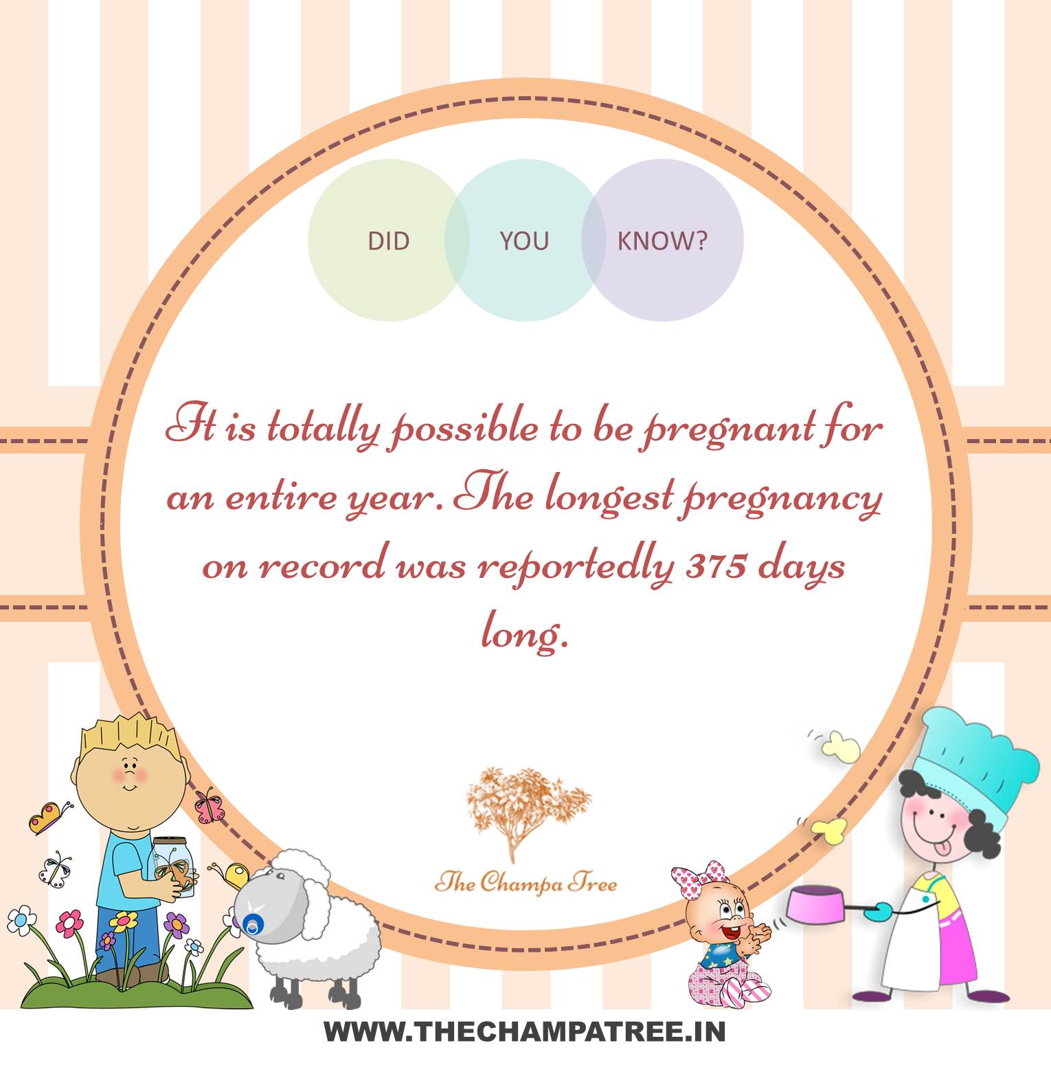 Did You Know Facts - Pregnancy duration