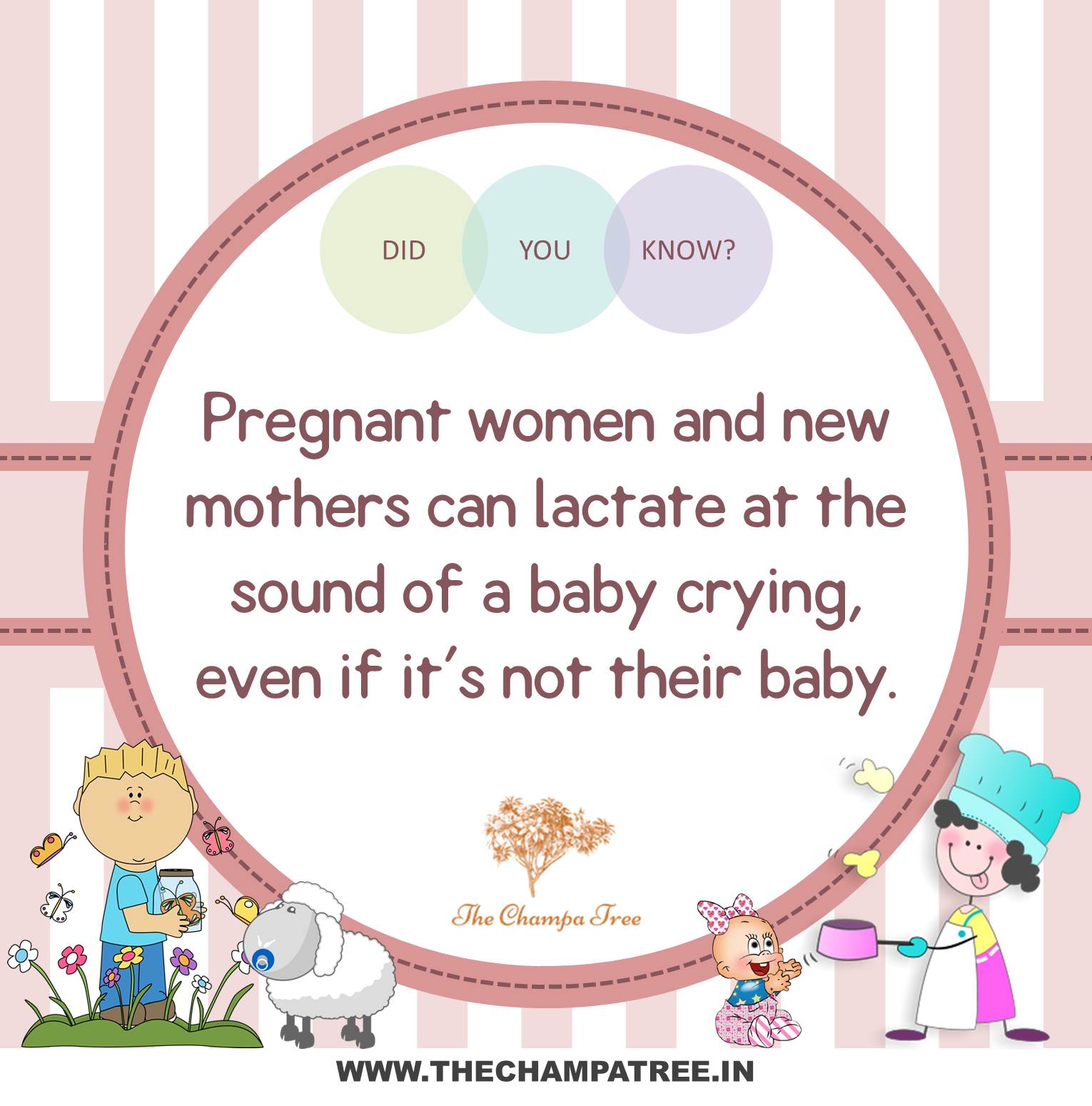 Did You Know Facts - Pregnancy 07