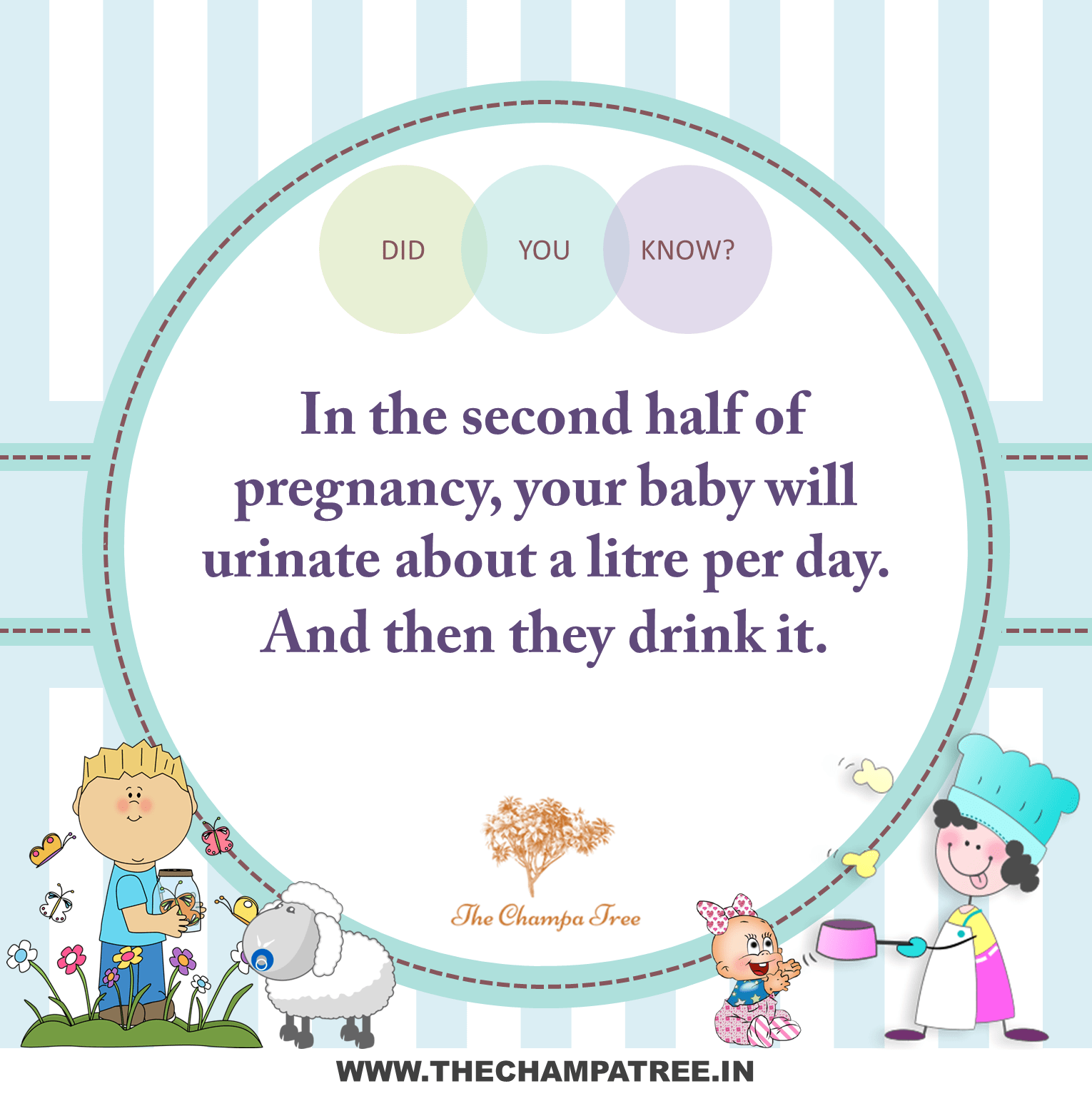 Did You Know Facts - Pregnancy 11