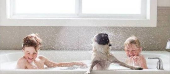 indoor activities for kids 12