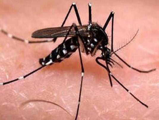 Mosquito Repellent 02
