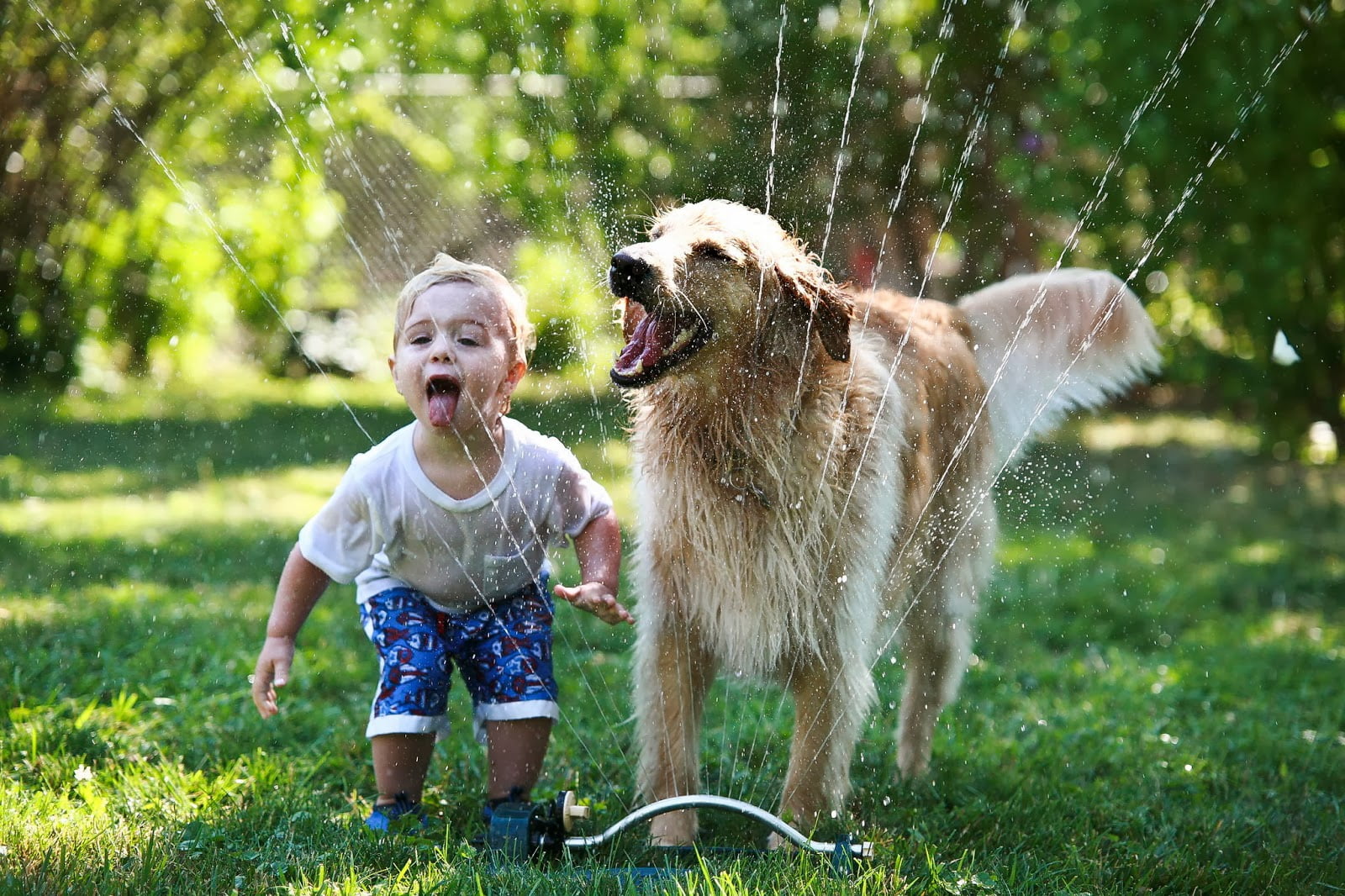 Children who grow up with pet animals 01