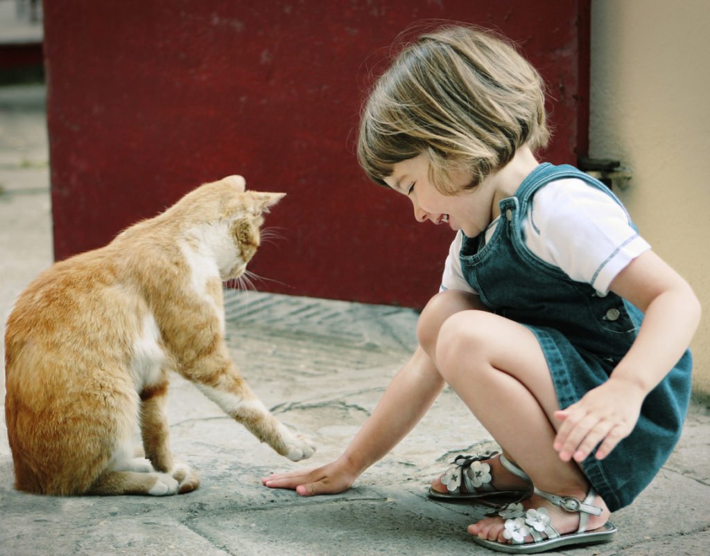 Children who grow up with pet animals 0