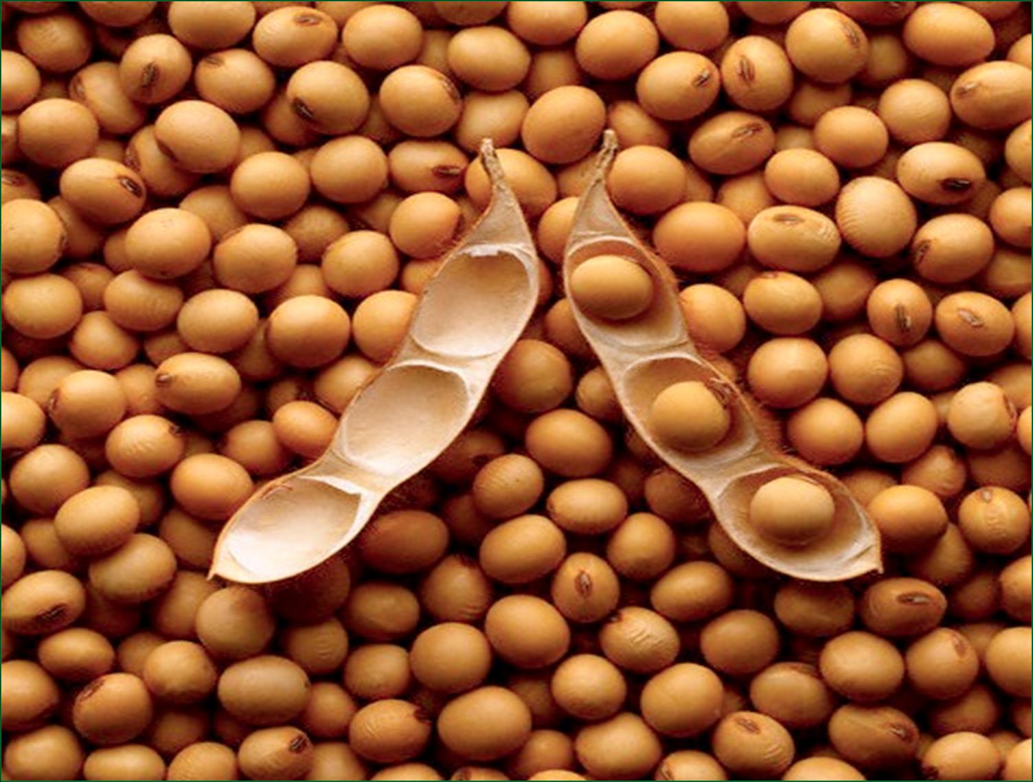 Foods to give a child with constipation 06