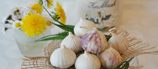 immune booster foods for kids 08