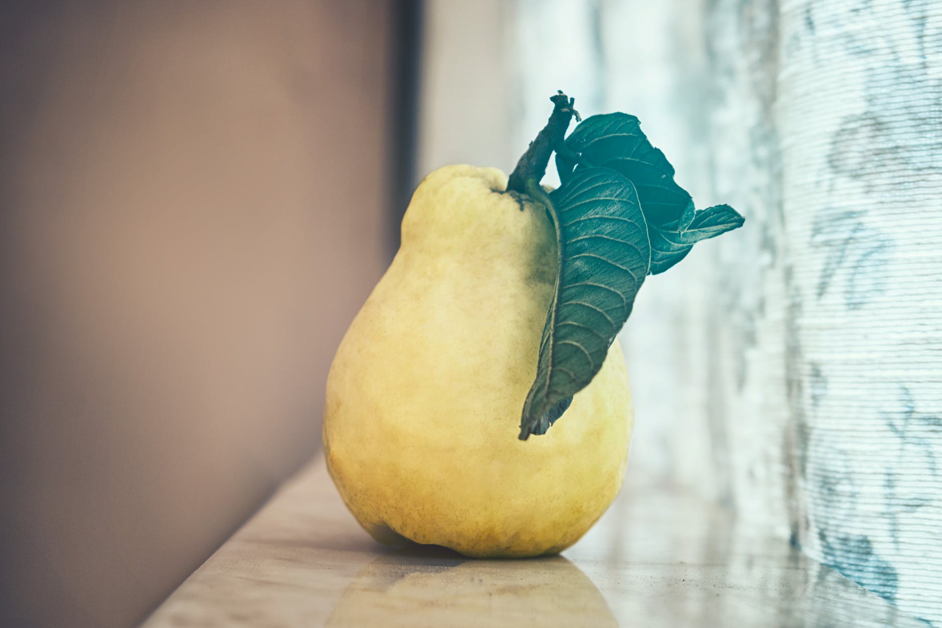 Best foods for hydration