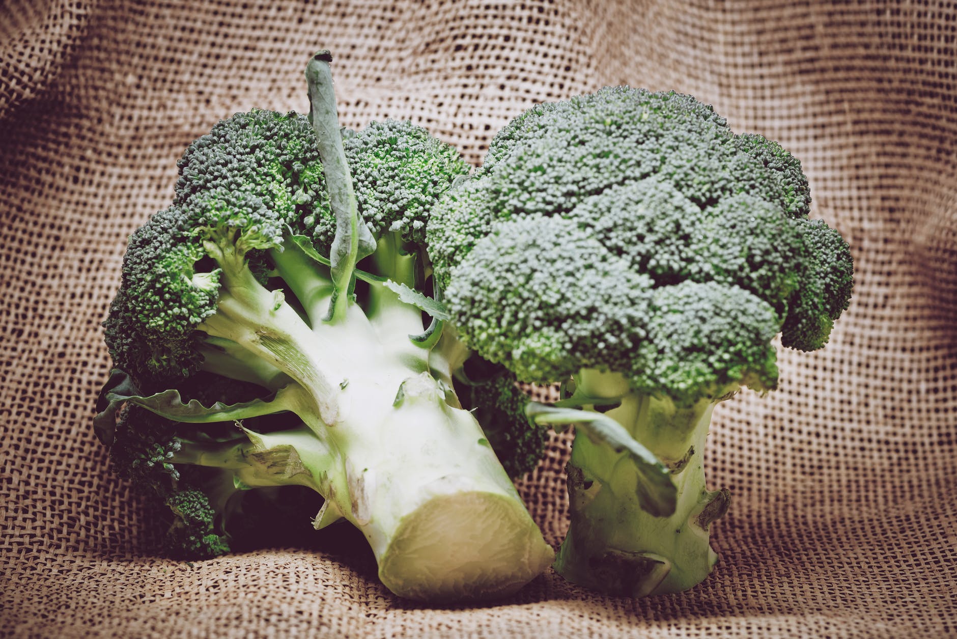 5 Foods To Help Build Your Immunity