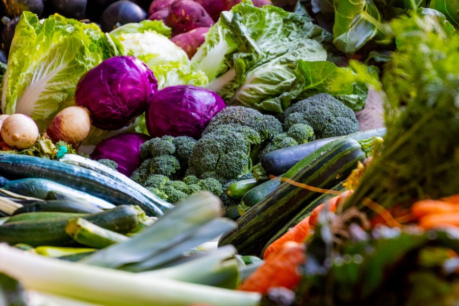 5 Nutritious Winter Foods You Should Eat And Feed Your Family