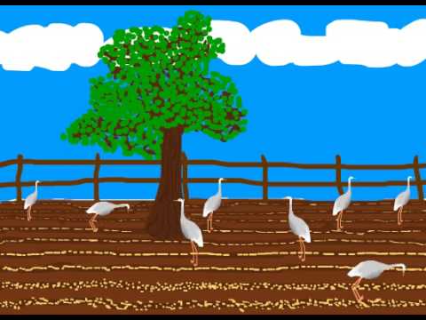 Short Stories for Children: 3 Stories To Teach Moral Values