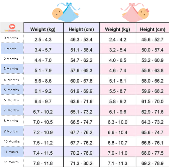 Baby weight and height chart | Average Weight of Newborn baby