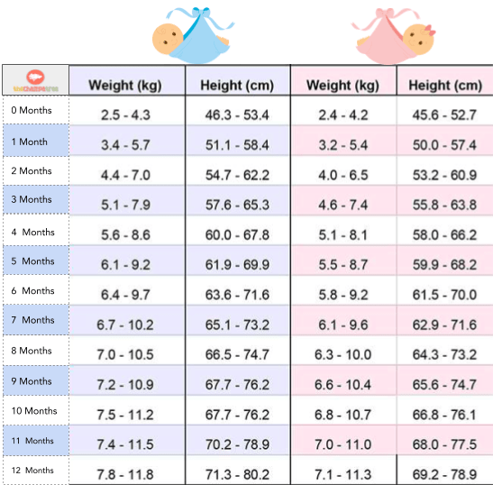 indian-baby-height-weight-chart-according-to-age-first-12-53-off