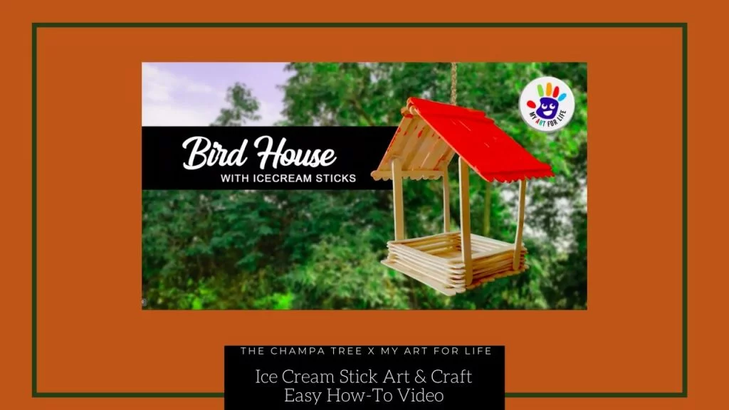 Ice cream stick art and craft bird feeder and bird house