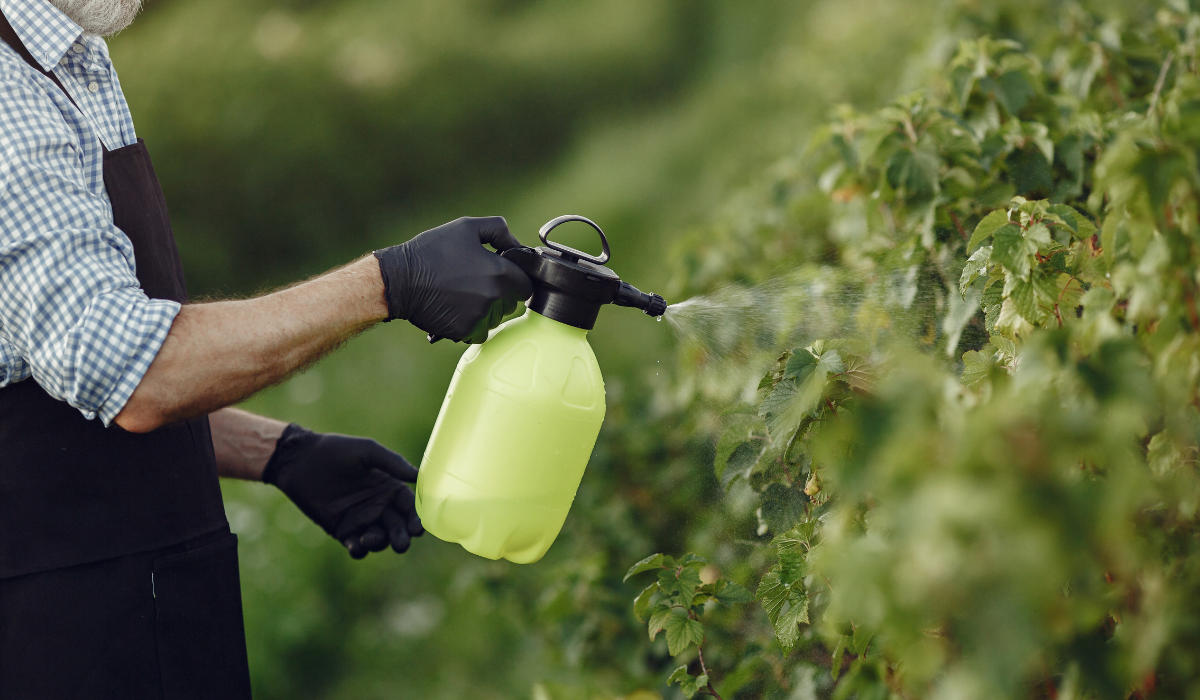 Exposure To Pesticides – Must Know If You Are A New Parent