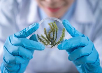 How Science Courses Cultivate Logical Thinking In Your Child