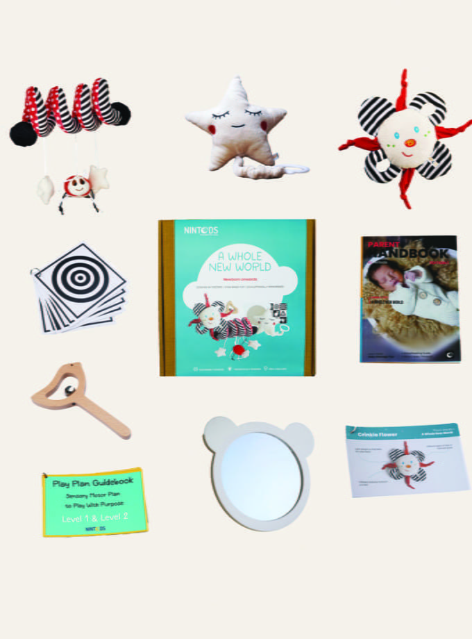 Nintods products