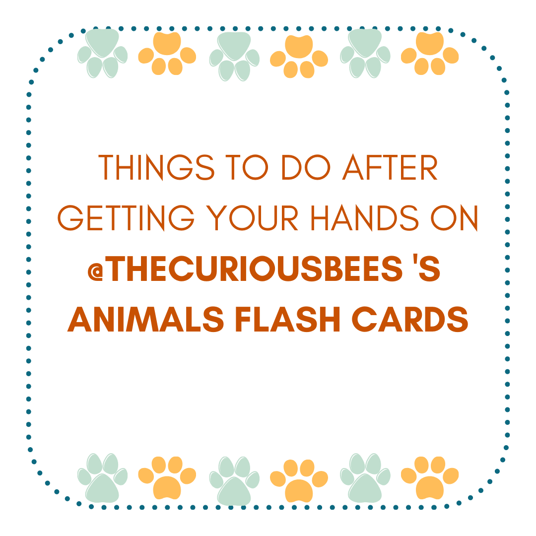 Flashcards with images
