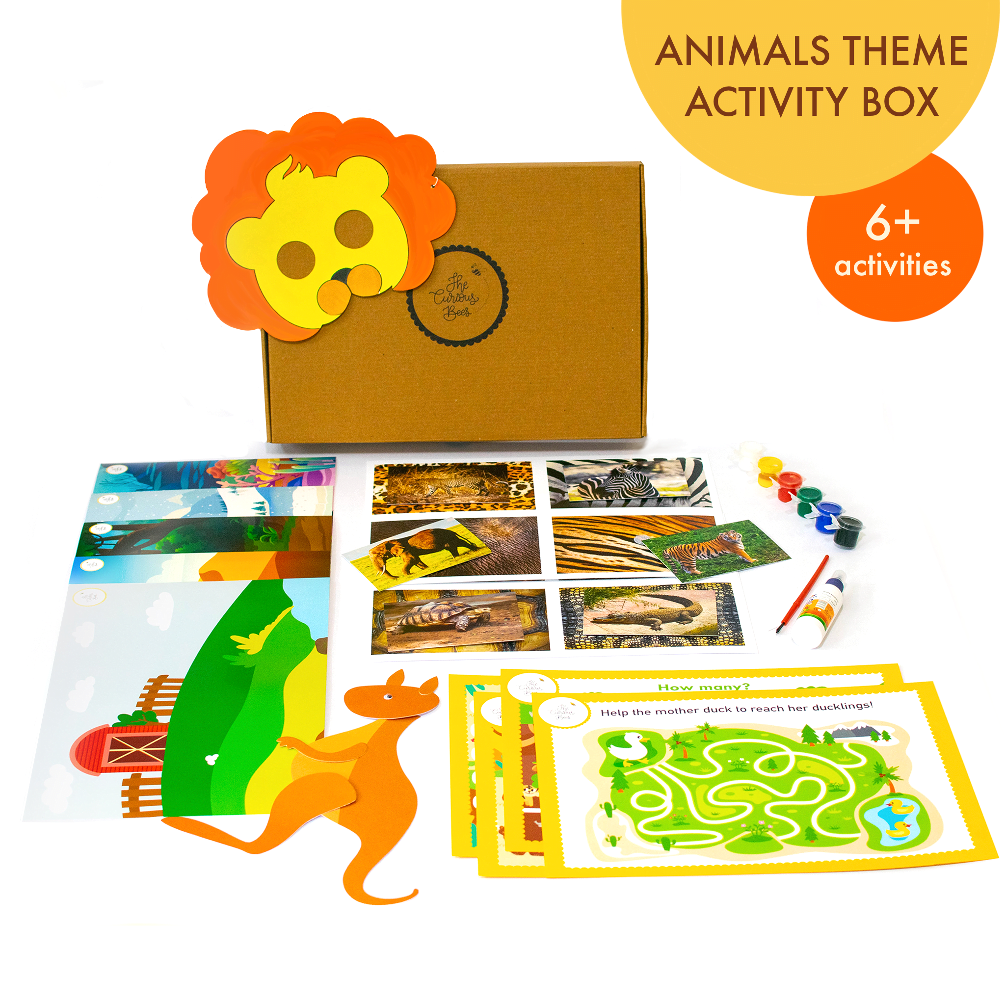 Animal activity