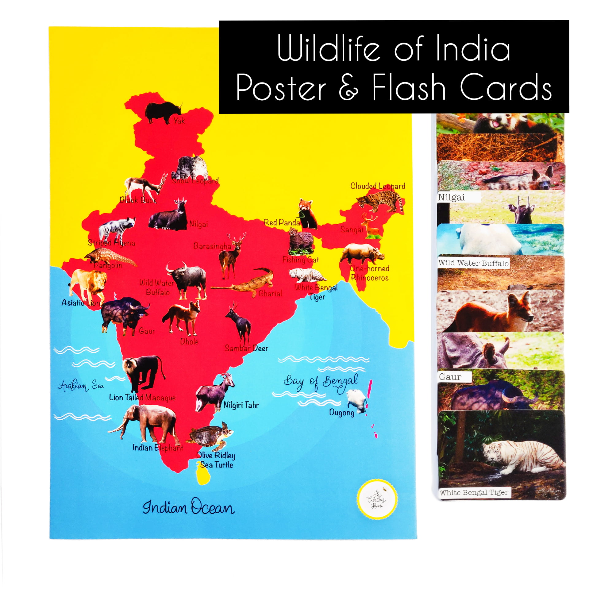 Wildlife in India