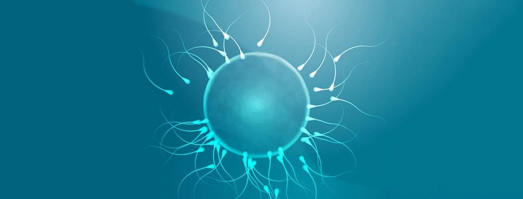 For infertility treatment