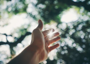 Enhancing What Your Child Gets Along With Vitamin D From Sunlight