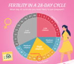 The Science Behind Ovulation and How to Track Your Ovulation Cycle?