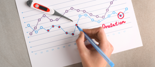 The Science Behind Ovulation And How To Track Your Ovulation Cycle?