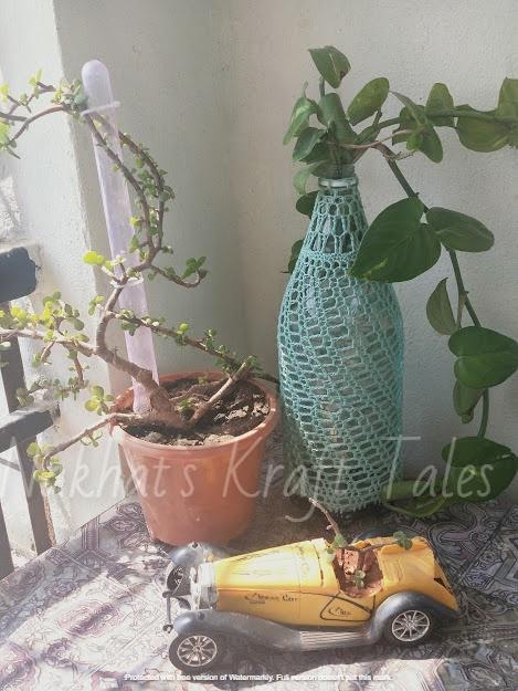 Ecofriendly home - a pot with a money plant